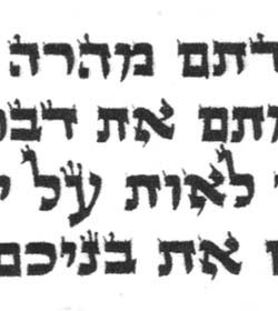 Tefillin Level 4